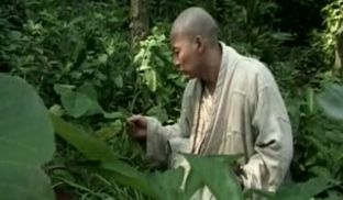 香港三级片第一流氓灯草和尚之素女经.