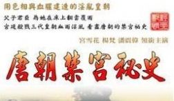 香港三级片唐朝禁宫秘史.