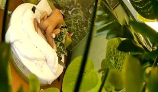 酒店偷拍小伙约操小少妇 进房就勾引小伙干她 上床