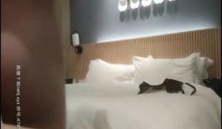 【雀儿满天飞33】贵阳时尚御姐穿衣品味大气女上位