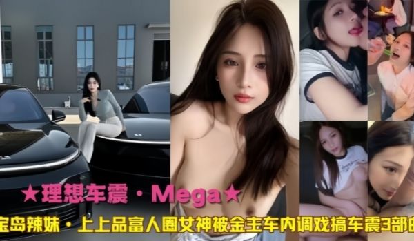 【理想车震·Meg﻿a】宝岛辣妹上上品富人圈女神