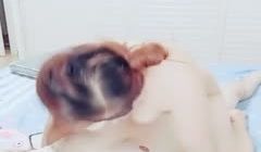 这个骚妇主播很厉害和两个炮友搭档黄播每天一个轮换