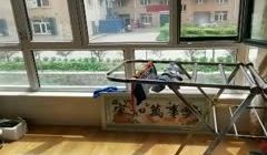 大白天窗边后入大屁股骚逼，屁股肥硕，抽插淫穴水声