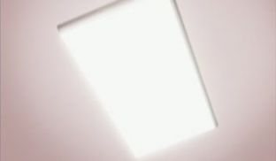 独蛾 1