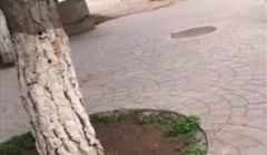 最近网络疯传红人浆果儿,人来人往公园露出口交