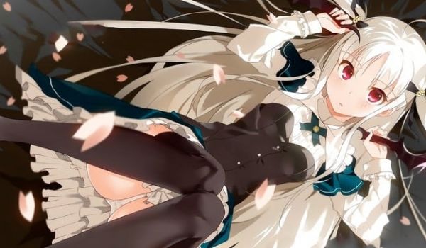 [VCBraws] Absolute Duo [