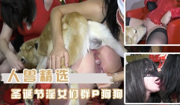 [人兽精选）圣诞节淫女们和狗狗的群P大狂欢