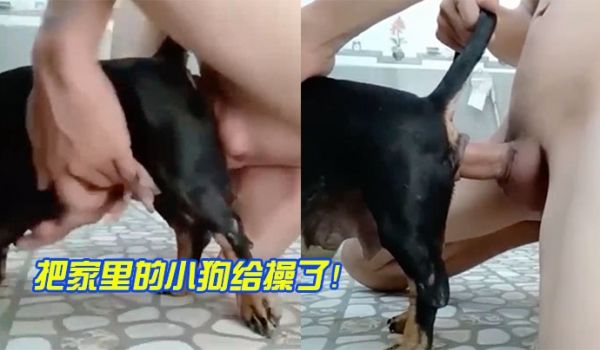 把家里的小狗给操了！