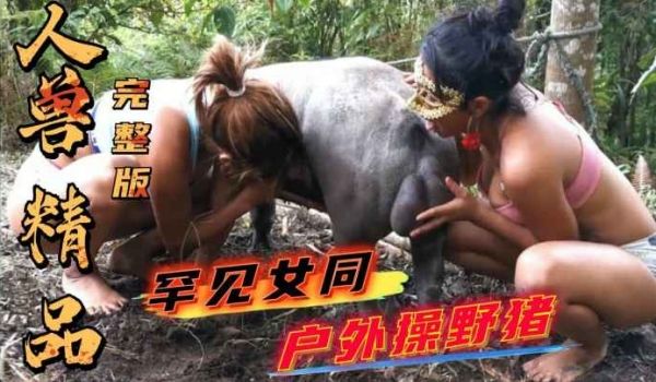 【稀缺人兽完整版】罕见女同操野猪人妻骚逼