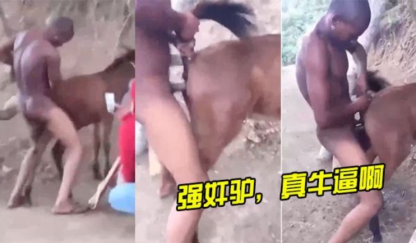 强奸,驴真牛,逼啊