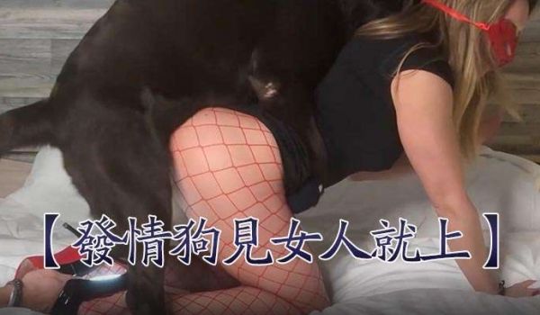 【发情狗见女人就上】女人也乖乖被艹。