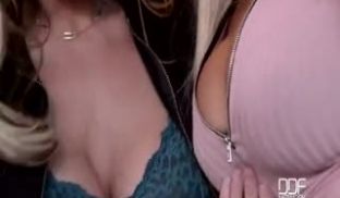 大公鸡喜欢两个性感的美女