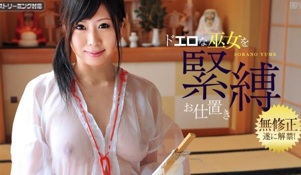 加勒比010812-909透明巨乳恋物癖Vol.