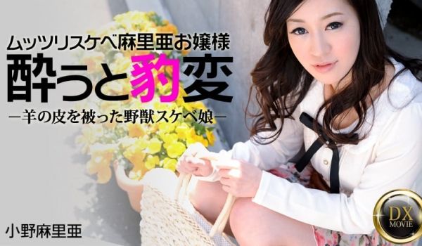 HEYZO-0330被带回去的好色小姐 小野麻里