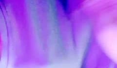 生椰哪甜-20240203020357