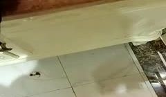 户外小雅_啪啪_20210216