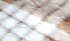 年轻小情侣_啪啪_20210209