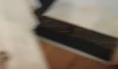 野狼出击_啪啪_20210214