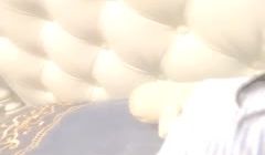 洋大葱_诱惑_20210213