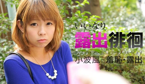 加勒比061116-183露出徘徊～我的女阴有转