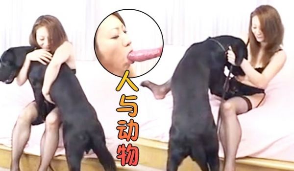 [人动物] 日本 [无正] 獣