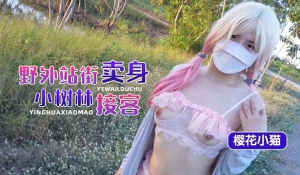 野外站街 小树林接客