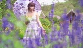 JasmineJ紫色花海的爱的。