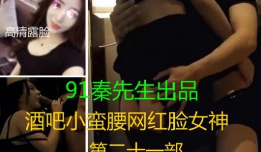91秦先生第二十一部酒吧小蛮腰网红脸女神