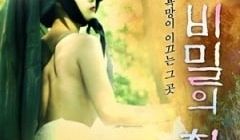 秘密的画舫