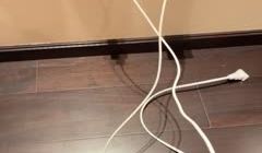 黛爷_偷拍人妖啪啪_20201216