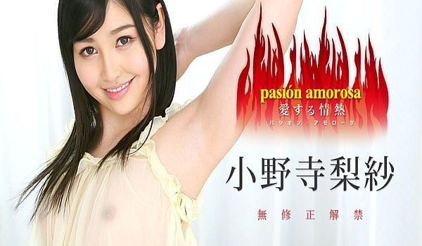 パシオン・アモローサ 爱する情热 5