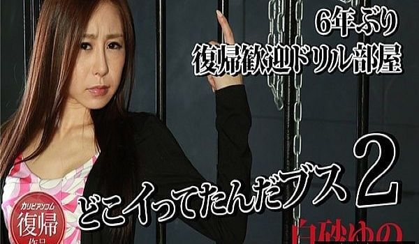 どこイってたんだブス2 ～6年ぶり复帰歓迎ドリル