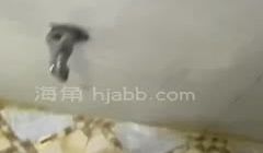 ✿绿意盎然✿海神侄子爆肏嫂子4.0爸妈都在楼下精
