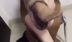 贵宾席专属福利【空姐制服篇】~各种白富美空姐生活