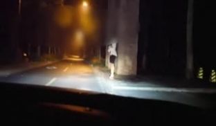 路边搭讪妹子上车深入交流
