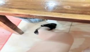 广场搭讪~厕所内啪啪~街头跳蛋喷水~再勾搭小伙带