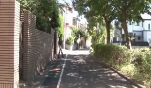 BBAN-030-同栖姉妹レズビアン饭冈かなこ野