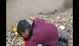 猥琐民工勾引高颜值学生妹，野外多姿势尻逼啪啪啪，