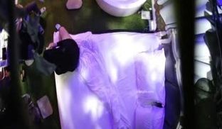 在旅馆的二三事～长腿、性感、可爱，一次拥有！