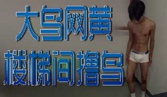 大鸟网黄楼梯间撸鸟