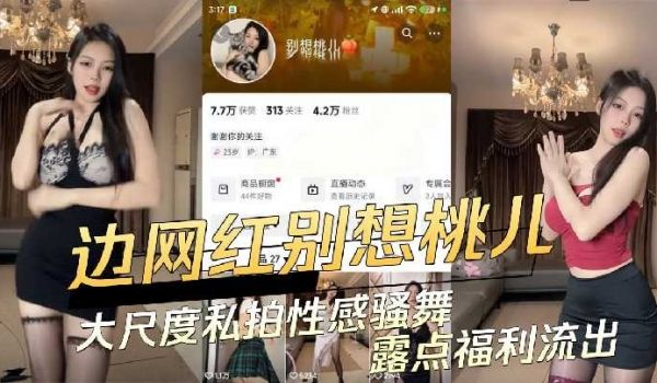 抖音高颜值擦边网红大尺度私拍流出