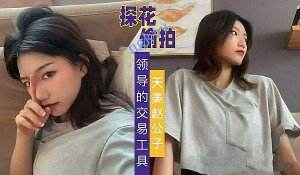 观众投稿天美传媒(探花)-偷拍领导的交易工具酒店