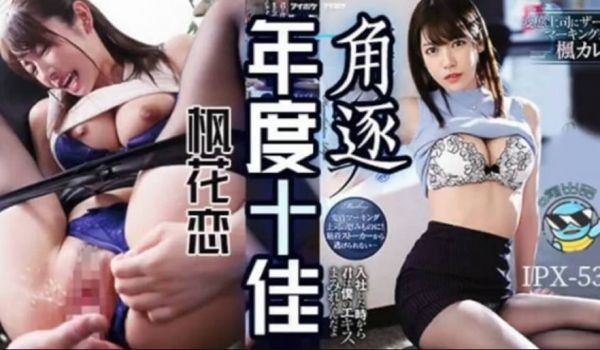枫花恋粉丝的自我修养