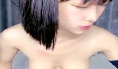 橘子味的猫!!