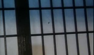女欢-张雅玲程嘉美