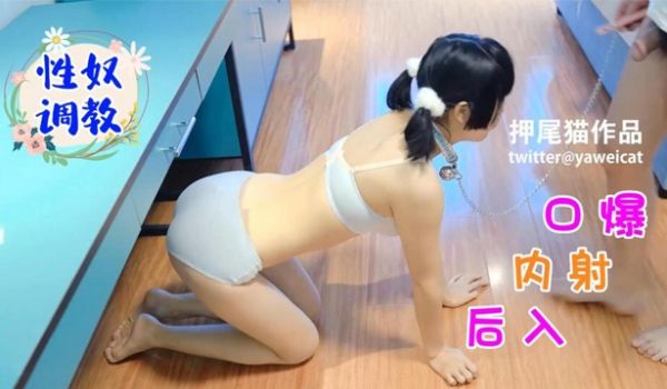 【性奴调教】口爆后入内射押尾猫