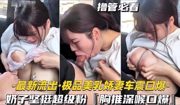 极品美乳娇妻车震口爆，奶子坚挺超级粉，胸推深喉功