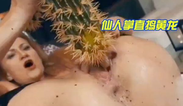 仙人掌直捣黄龙