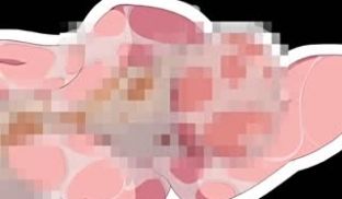 中文字幕骚女被操连淫叫声都那么贱
