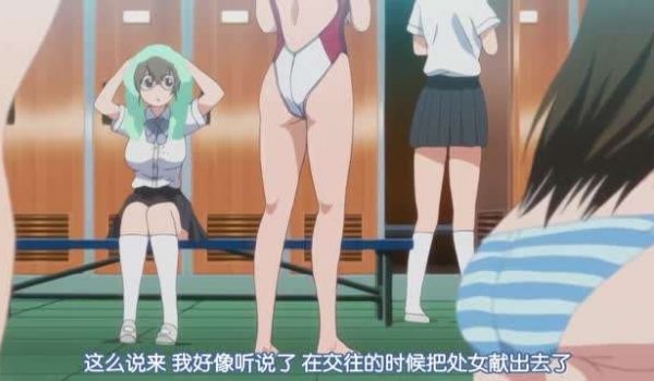 宠物的生活